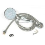 ⁦دش الأسد⁩ - الصورة ⁦2⁩