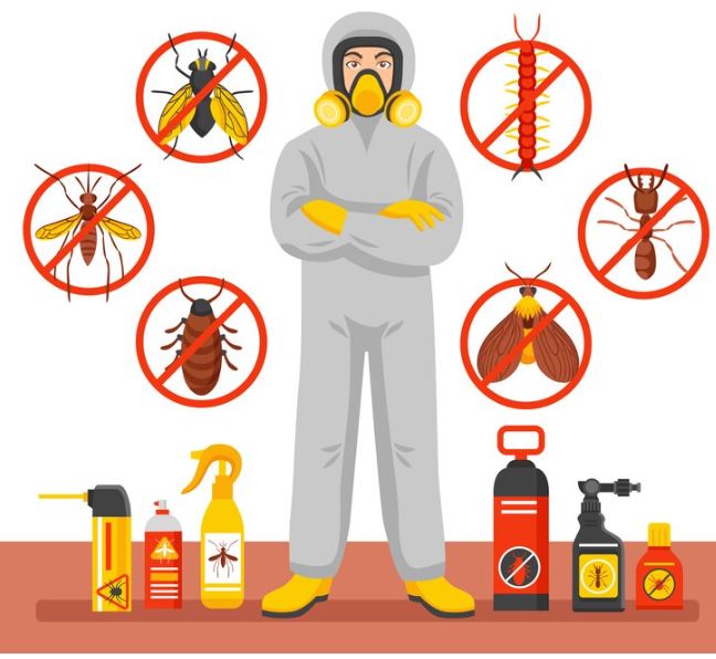 مكافحة الحشرات