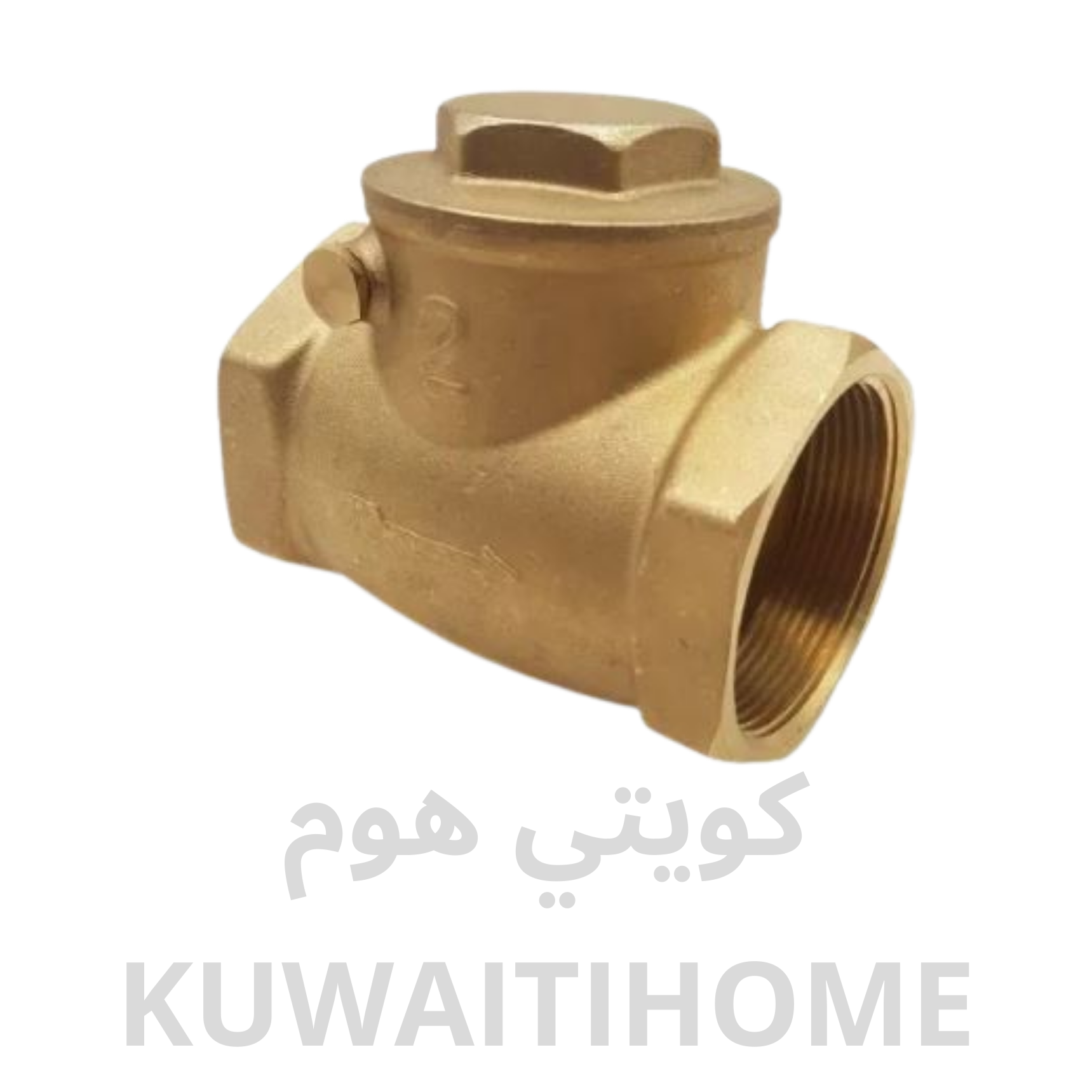 شركة آرت هاوس للمطابخ و الأبواب و الشبابيك (550 x 550 px) - 2026-01-12T142231.619 RETAIL- SWING VALVE 2″ - الصورة 1