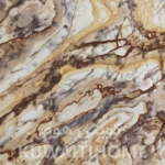 ⁦رخام الخشب المتحجر (Petrified Wood)⁩ - الصورة ⁦2⁩